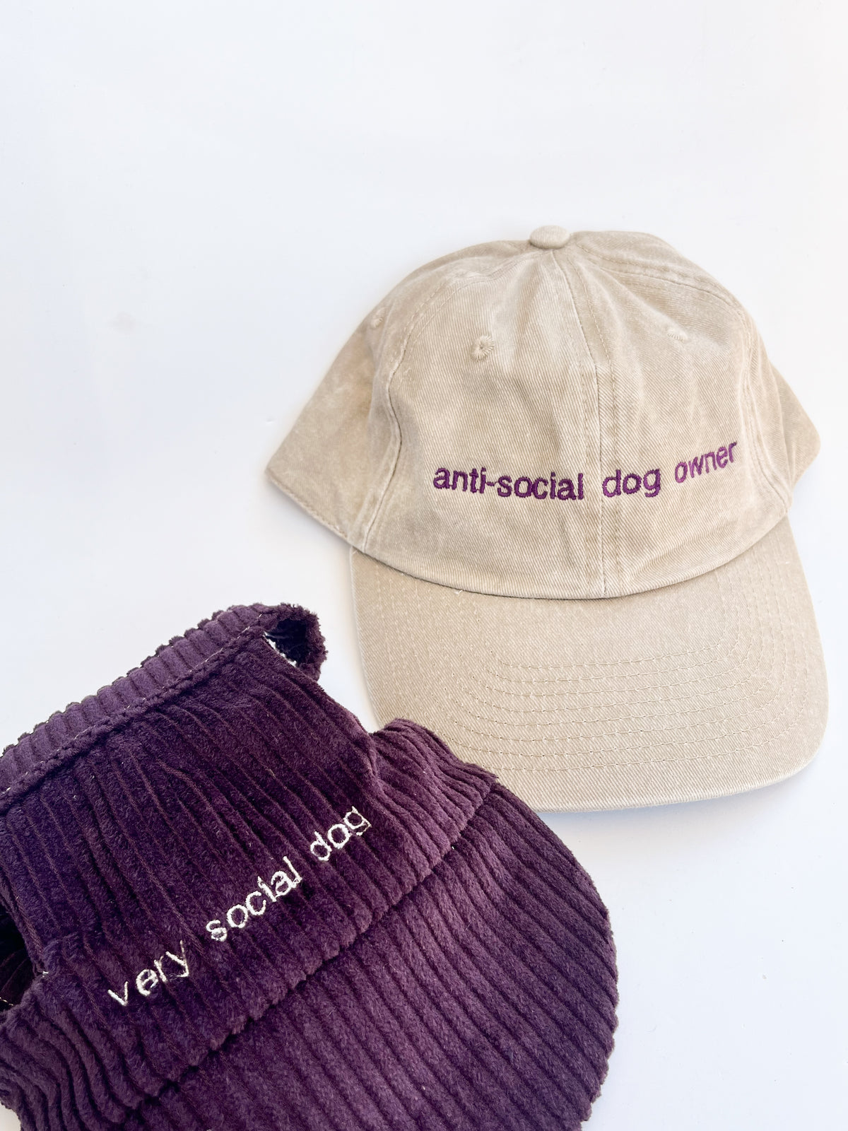conjunto dono+pet: anti-social dog owner