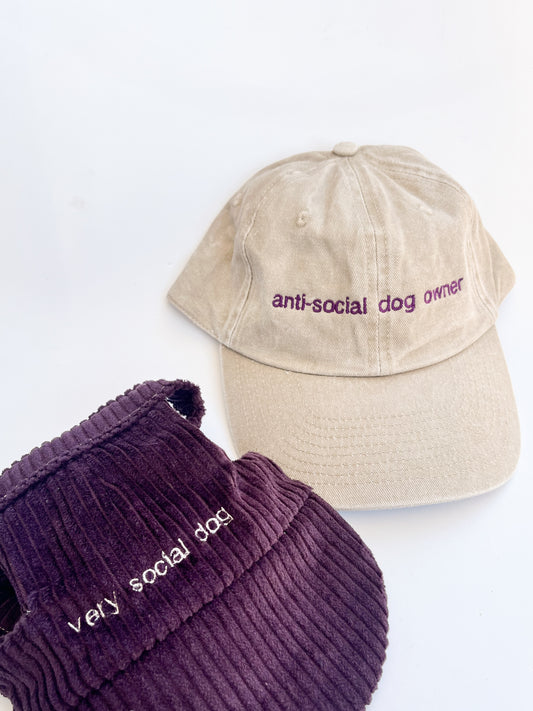 conjunto dono+pet: anti-social dog owner