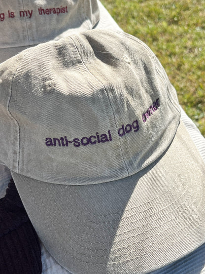 conjunto dono+pet: anti-social dog owner