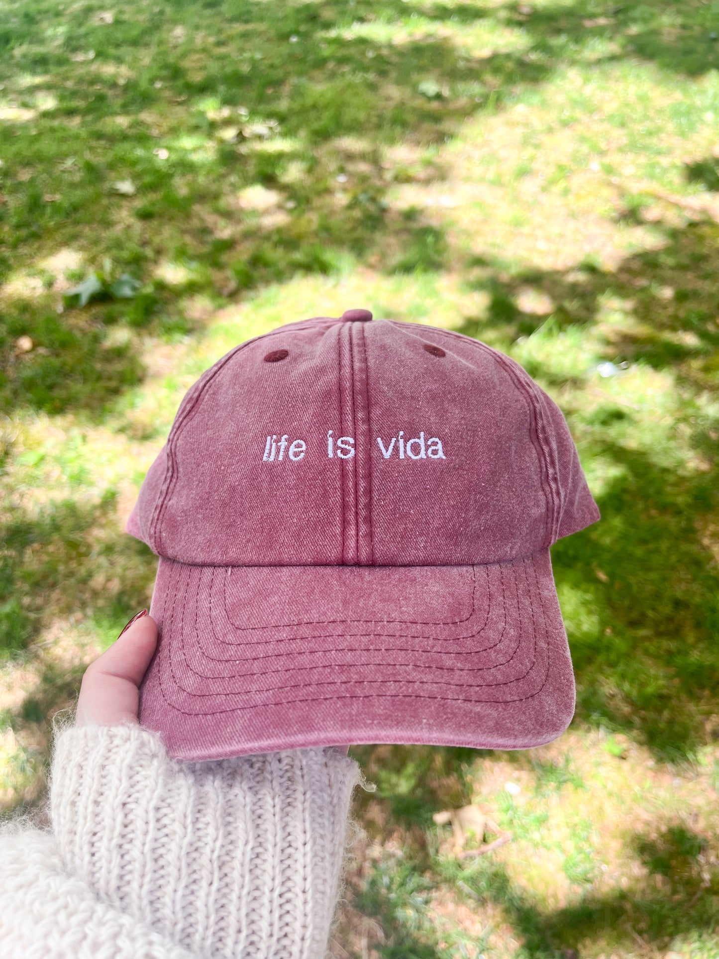 life is vida