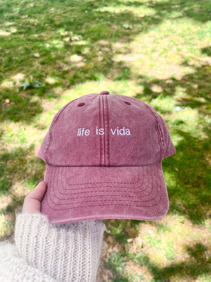 life is vida