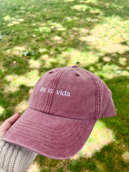 life is vida