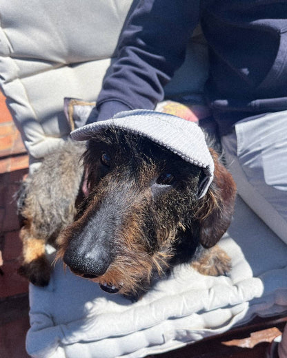 BONÉ PARA PET PERSONALIZADO