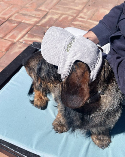 BONÉ PARA PET PERSONALIZADO