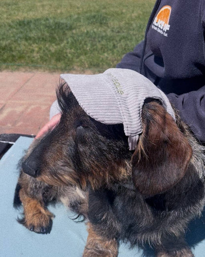BONÉ PARA PET PERSONALIZADO
