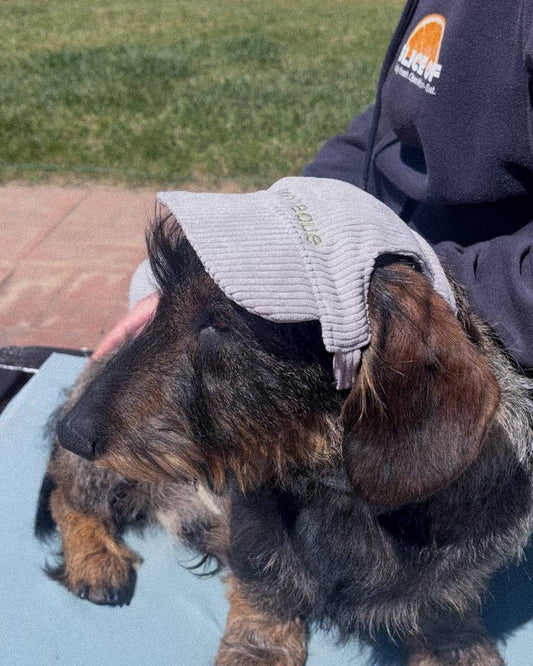 BONÉ PARA PET PERSONALIZADO