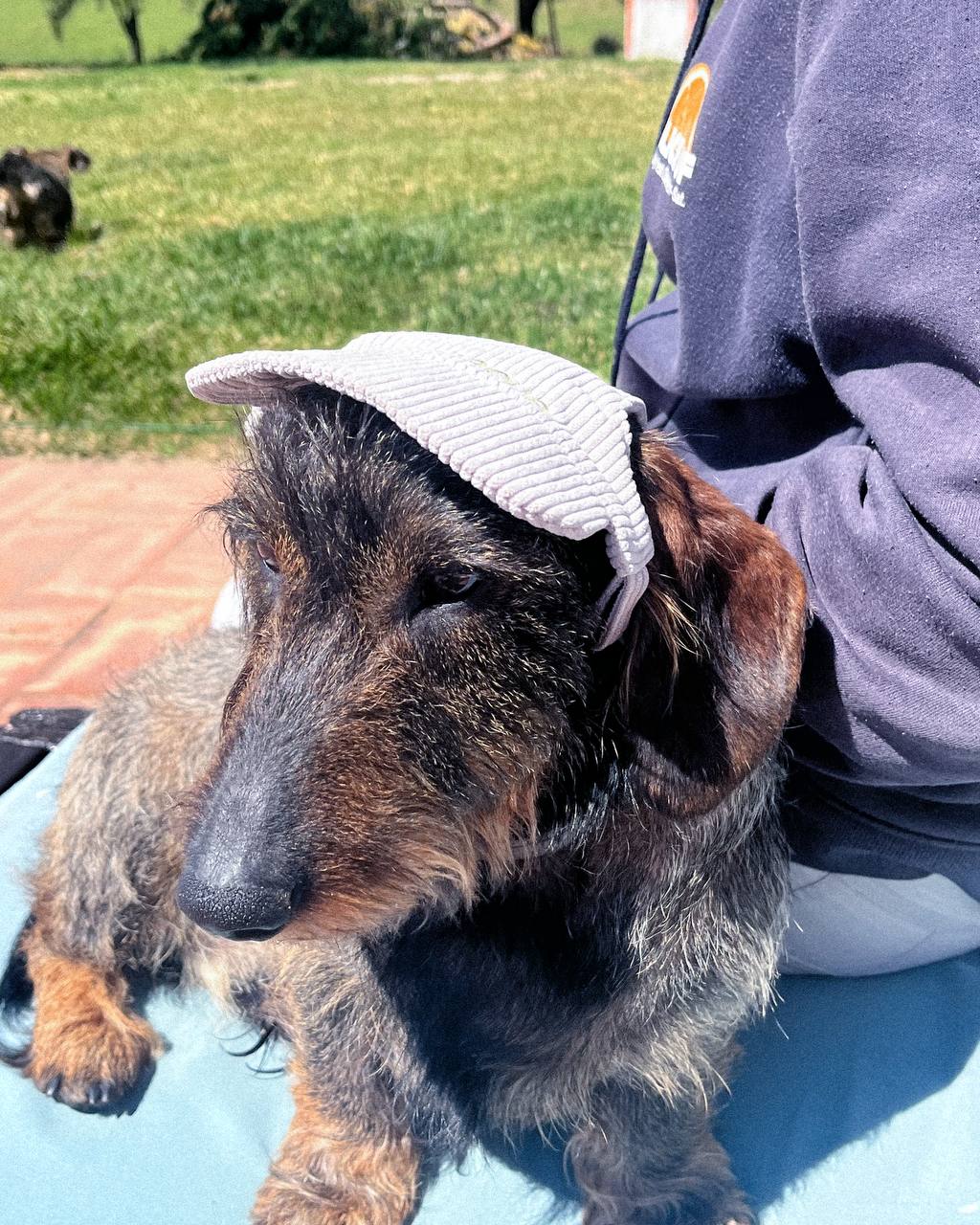 BONÉ PARA PET PERSONALIZADO