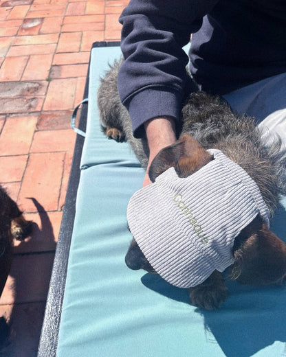 BONÉ PARA PET PERSONALIZADO