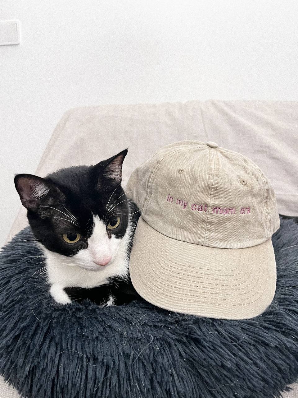 in my cat mom era