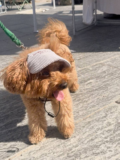 BONÉ PARA PET COM FRASES