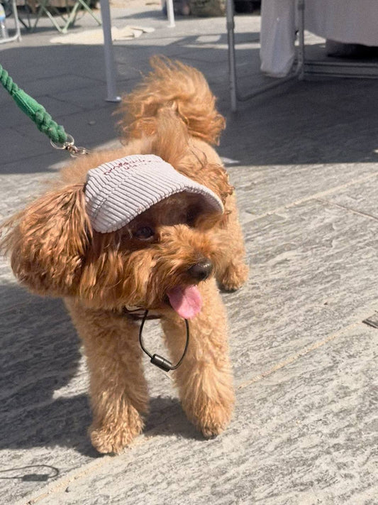 BONÉ PARA PET COM FRASES