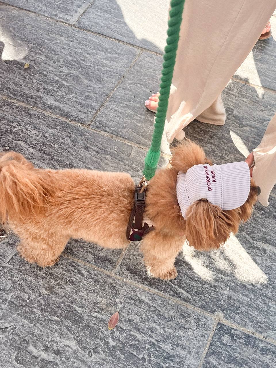 BONÉ PARA PET COM FRASES